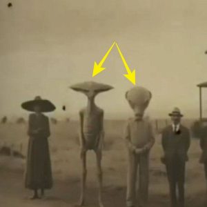 BREAKING NEWS: Unraveling Egypt's Mystery: Photographs of Aliens Shock the World.