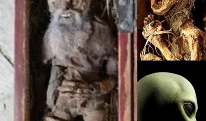 HOT NEWS: Unearthing the Unbelievable: Discovery of a Unique Alien Body Found in a Mexican Mine.