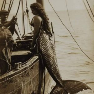 HOT NEWS: The True Mermaid: Unveiling the Legend Behind the Myth.