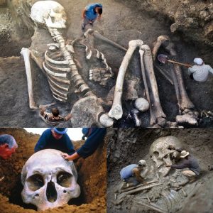 Shocking Discovery: 20 Giant Skeletons Unearthed, Sparking Fears of Their Return.