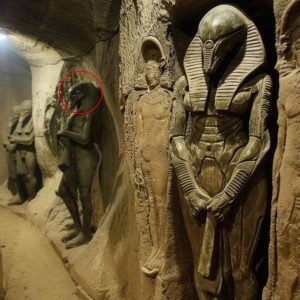 Se revelan secretos de hace décadas sobre el antiguo Egipto y ahora son accesibles al público