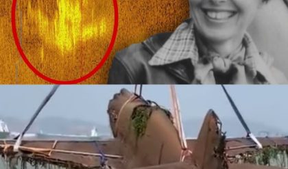 HOT NEWS: Amelia Earhart’s Lost Aircraft: Groundbreaking Discovery of Missing Artifacts After 70 Years. (VIDEO)