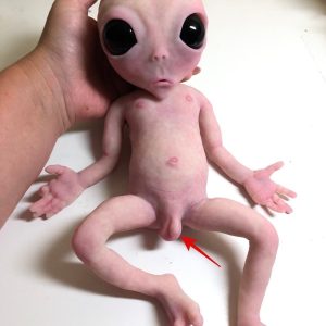 Revelando lo inusual: imágenes filtradas en Estados Unidos muestran el rostro de forma extraña de un extraterrestre recién nacido e incluye un pene.