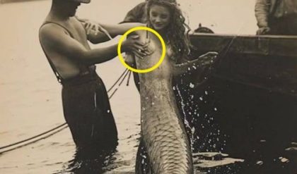 Mermaids Are Real: Shocking Video Emerges as Proof of Their Existence 😱😱😱.