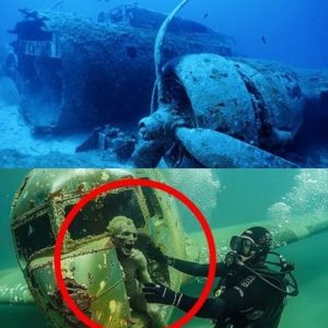 HOT NEWS: Revolutionary Discoveries About Malaysian Flight 370: Researchers Uncover Shocking Truths That Redefine Everything We Knew!.