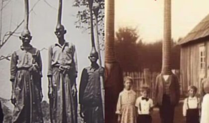 HOT NEWS: Unearthed Archival Footage from 1860 Sheds Light on the Mysterious History of the Long-Necked Family