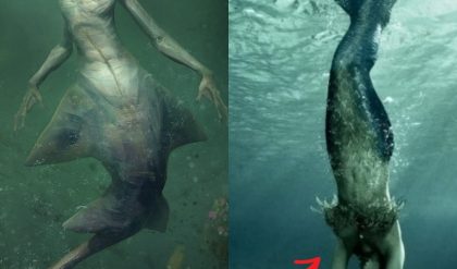 BREAKING NEWS: Animal Planet Documentary Unveils Shocking Evidence of Mermaids: Hidden Secrets Exposed.