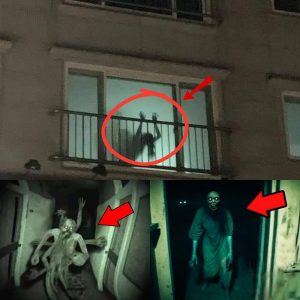 HOT NEWS: Echoes from the Mirror: A Haunting Encounter in an Apartment Where a Ghost Rested Peacefully for 200 Years..(VIDEO)