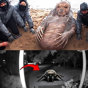 HOT NEWS: This Terrifying Discovery Is Shaking The Entire Internet !